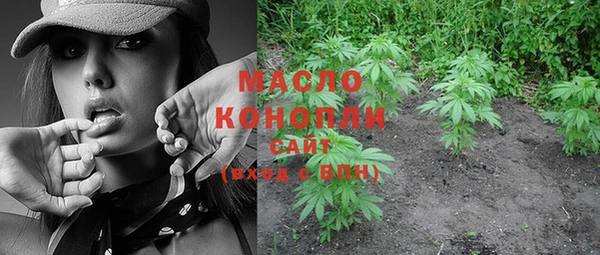 гашик Ростов