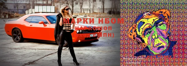 прущие крисы Сатка